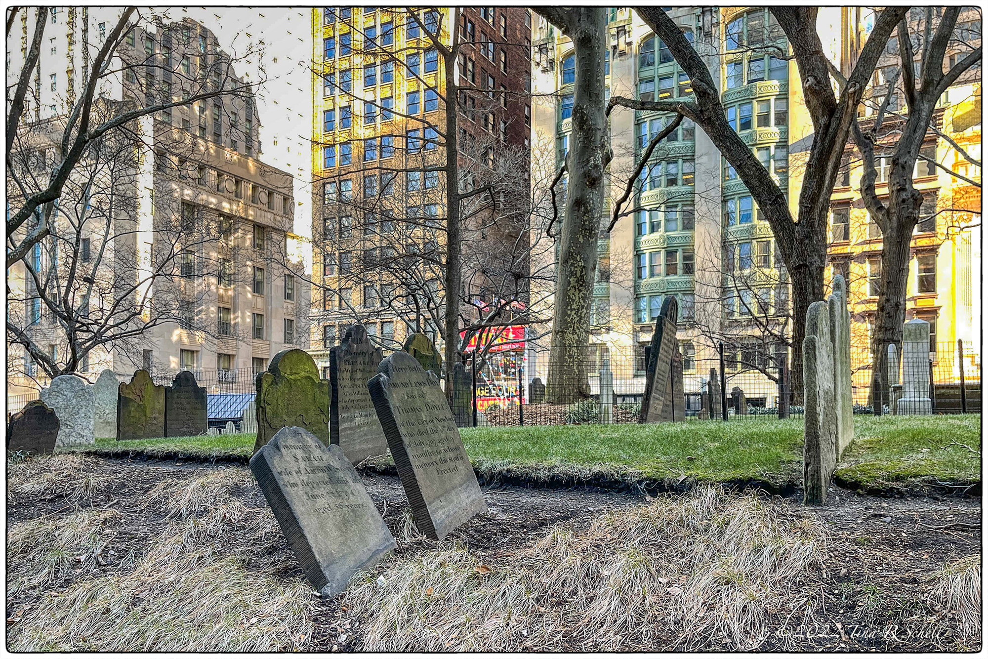 graves, cemetery, new york
