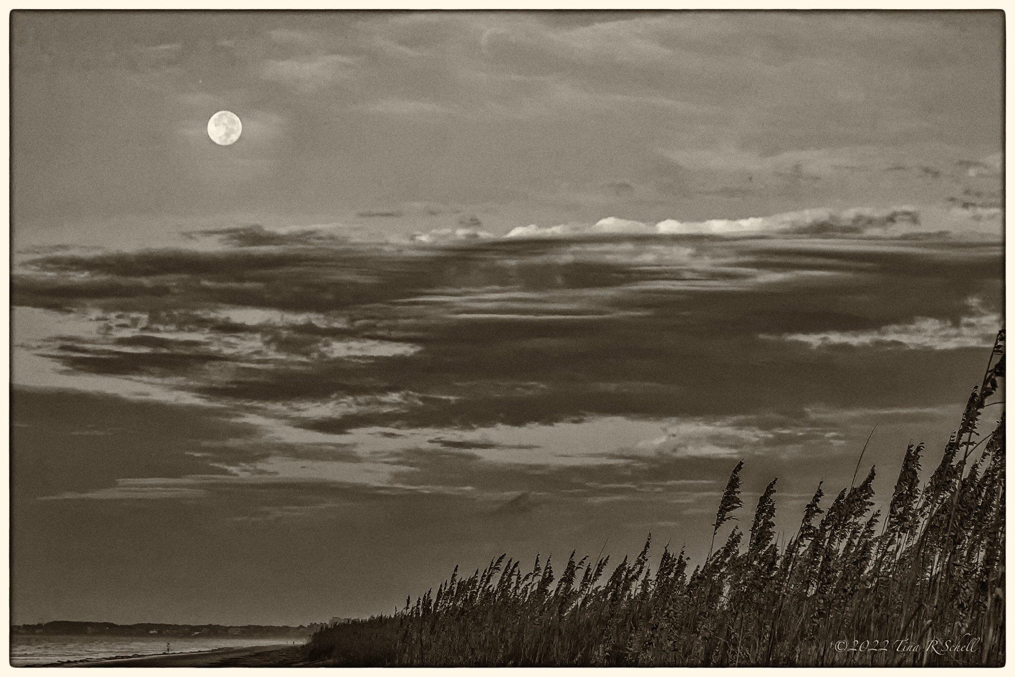 moon, clouds, sea grass, ocean, Kiawah