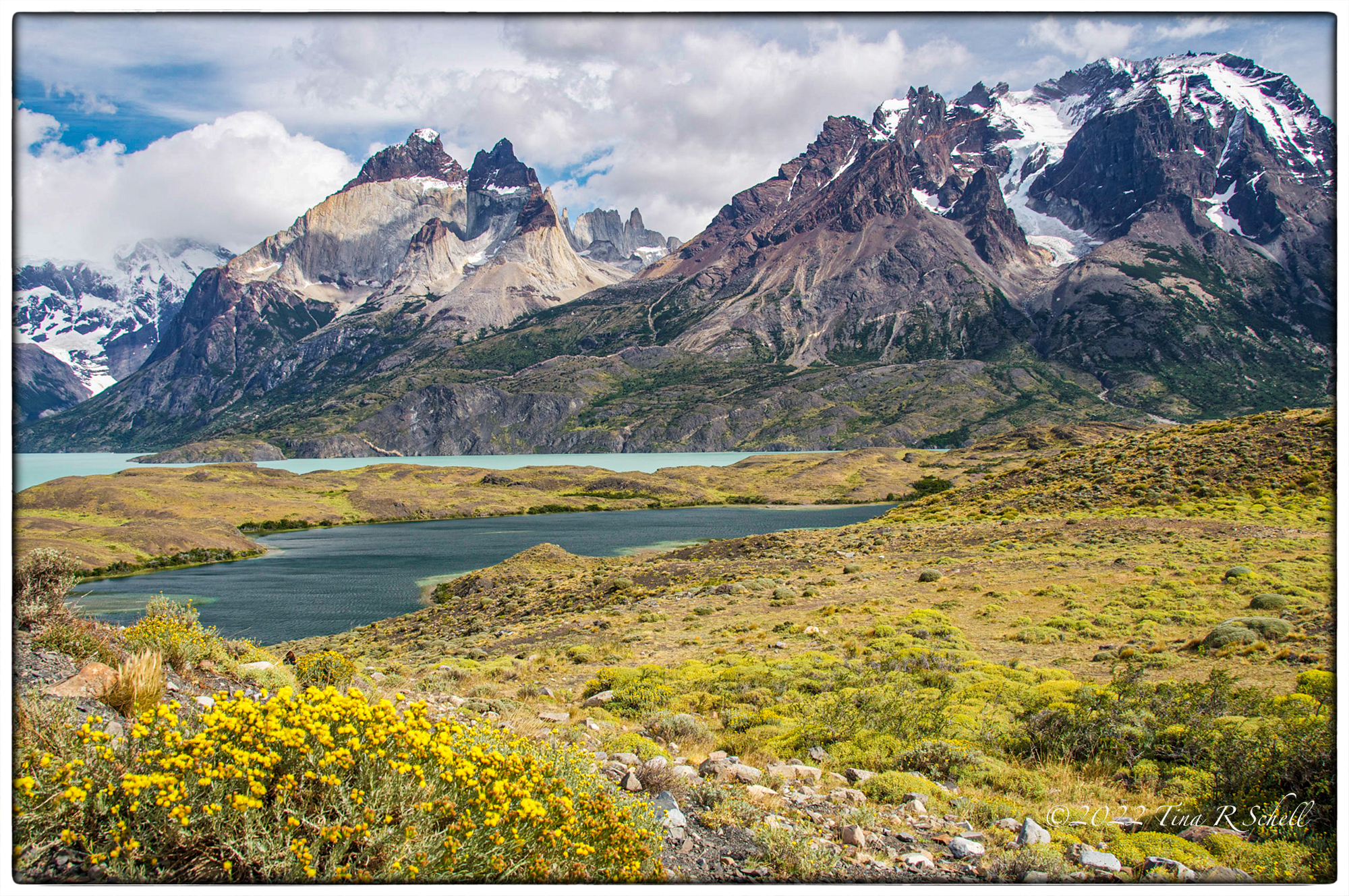 flowers, mountains, Patagonia, lake, snow
